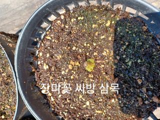 알 수 없음님의 자유주제 · 자유게시판 작성글 사진