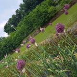 팜모닝 자유주제·자유게시판 게시글 이미지