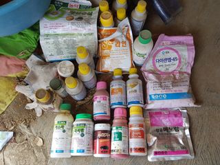 신동수님의 농부님! 어떤 농약 쓰세요? · 참여 작성글 사진