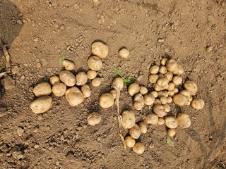 호욱33459725님의 작성글 사진