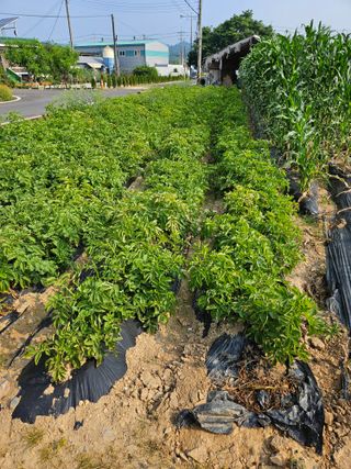 호욱33459725님의 작성글 사진