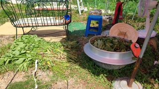 이봉수님의 고추 · 일상 작성글 사진