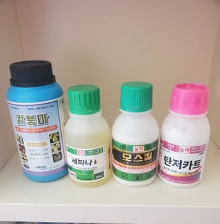 코지뱅이김영선님의 농부님! 어떤 농약 쓰세요? · 참여 작성글 사진