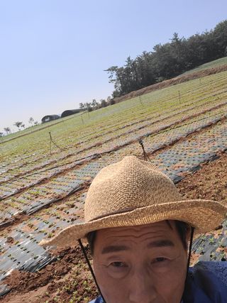 자연같이님의 참깨 · 자유게시판 작성글 사진