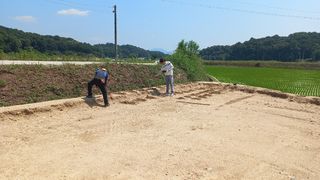 황영출님의 콩 · 영농일지 작성글 사진