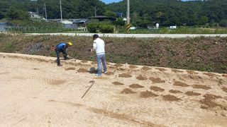 황영출님의 콩 · 영농일지 작성글 사진
