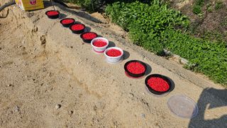 황영출님의 콩 · 영농일지 작성글 사진