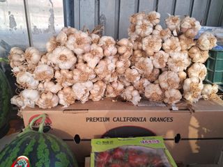 김기한님의 마늘 · 시세•판로 작성글 사진