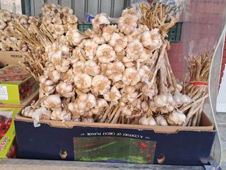 김기한님의 마늘 · 시세•판로 작성글 사진