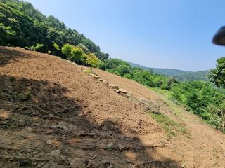 손병만님의 자유주제 · 자유게시판 작성글 사진