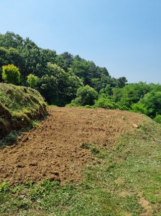 손병만님의 자유주제 · 자유게시판 작성글 사진