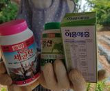 팜모닝 농부님! 어떤 농약 쓰세요?·참여 게시글 이미지