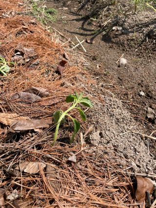 도곡님의 기타작물 · 자유게시판 작성글 사진