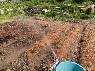 도곡님의 기타작물 · 자유게시판 작성글 사진