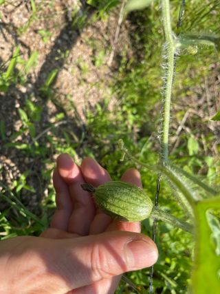 도곡님의 기타작물 · 자유게시판 작성글 사진