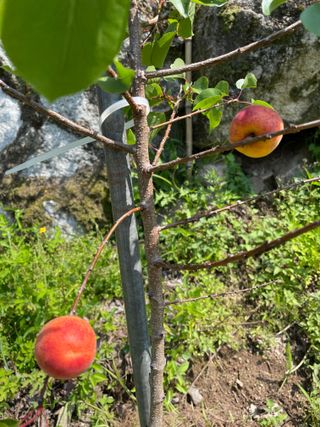 도곡님의 기타작물 · 자유게시판 작성글 사진