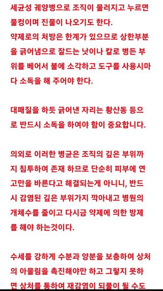 알 수 없음님의 팜모닝 병해충 연구회 · 병해충 경험담 작성글 사진