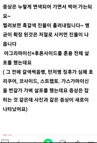 알 수 없음님의 팜모닝 병해충 연구회 · 병해충 경험담 작성글 사진