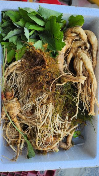 천종현님의 자유주제 · 자유게시판 작성글 사진