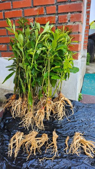 천종현님의 자유주제 · 자유게시판 작성글 사진