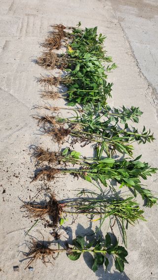 천종현님의 자유주제 · 자유게시판 작성글 사진