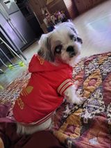 팜모닝 복숭아·자유게시판 게시글 이미지