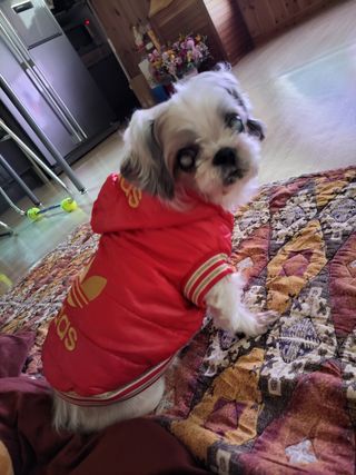 욕심내지말자님의 복숭아 · 자유게시판 작성글 사진