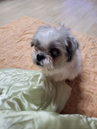 욕심내지말자님의 복숭아 · 자유게시판 작성글 사진