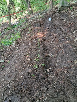 안창영님의 기타작물 · 영농일지 작성글 사진