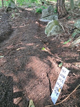 안창영님의 기타작물 · 영농일지 작성글 사진