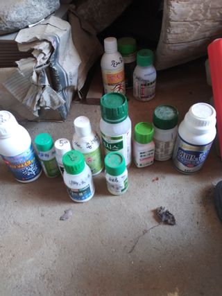 충남예산최현자님의 농부님! 어떤 농약 쓰세요? · 참여 작성글 사진