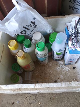 충남예산최현자님의 농부님! 어떤 농약 쓰세요? · 참여 작성글 사진