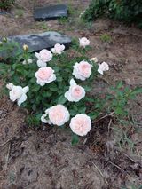 팜모닝 오이·자유게시판 게시글 이미지