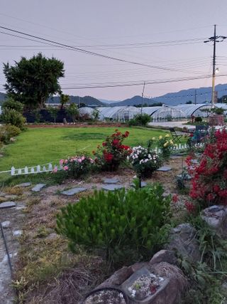 김충구내 집 예쁘게님의 오이 · 자유게시판 작성글 사진