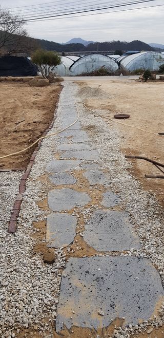 김충구내 집 예쁘게님의 오이 · 자유게시판 작성글 사진