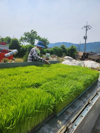 알 수 없음님의 작성글 사진