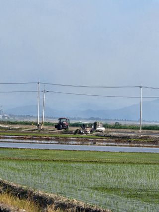 알 수 없음님의 작성글 사진