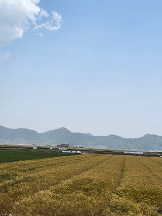 알 수 없음님의 작성글 사진