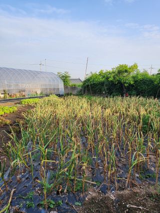 알 수 없음님의 작성글 사진