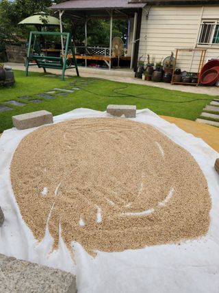 알 수 없음님의 작성글 사진