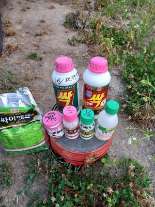 은행5k35000원님의 농부님! 어떤 농약 쓰세요? · 참여 작성글 사진