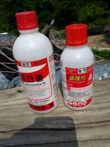 팜모닝 매실·병해충상담 게시글 이미지