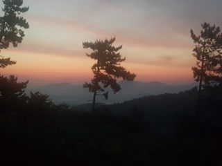 김영석님의 자유주제 · 사진전 작성글 사진