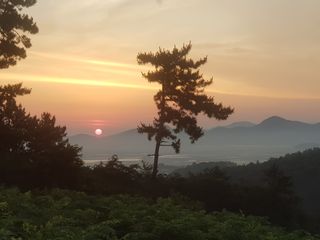 김영석님의 자유주제 · 사진전 작성글 사진