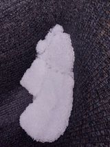 팜모닝 자두·자유게시판 게시글 이미지