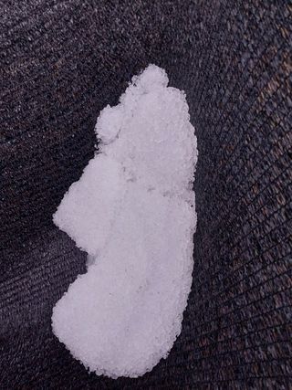 호박4539님의 자두 · 자유게시판 작성글 사진