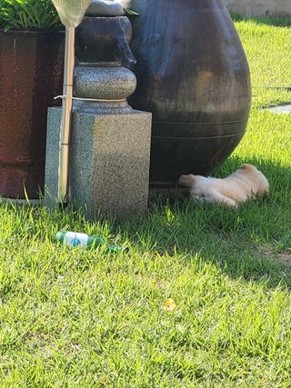 알 수 없음님의 자유주제 · 자유게시판 작성글 사진