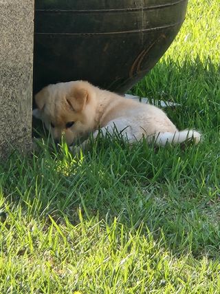 알 수 없음님의 자유주제 · 자유게시판 작성글 사진