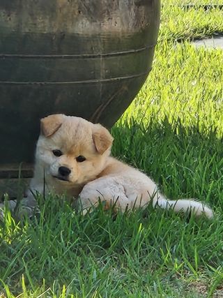 알 수 없음님의 자유주제 · 자유게시판 작성글 사진