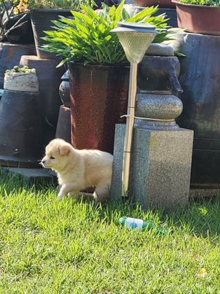 알 수 없음님의 자유주제 · 자유게시판 작성글 사진